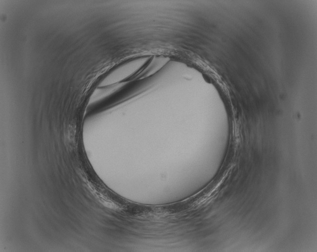 X0000068850201200605261714