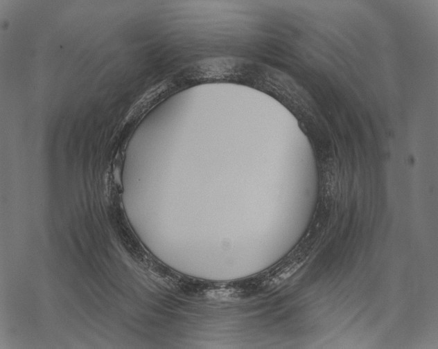 X0000068850216200605261713