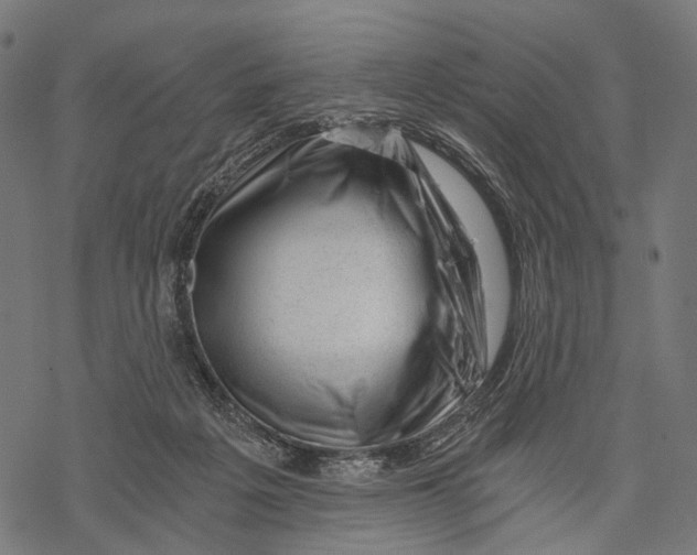 X0000068850217200605261713