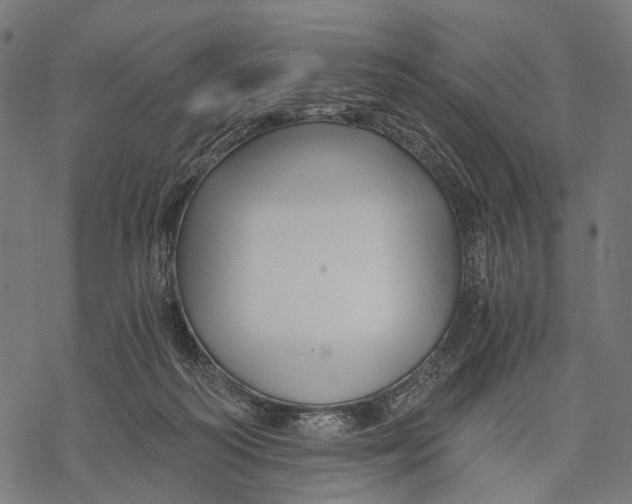 X0000068850218200605261713