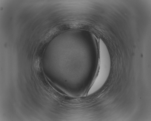 X0000068850219200605261713