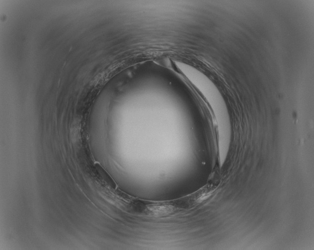 X0000068850221200605261713