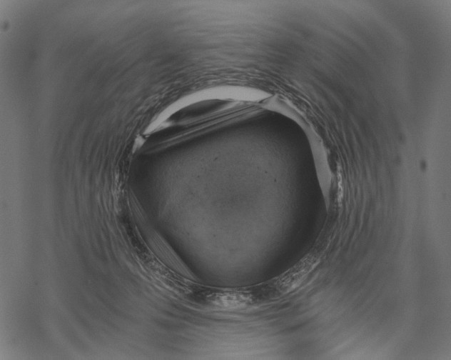 X0000068850223200605261713