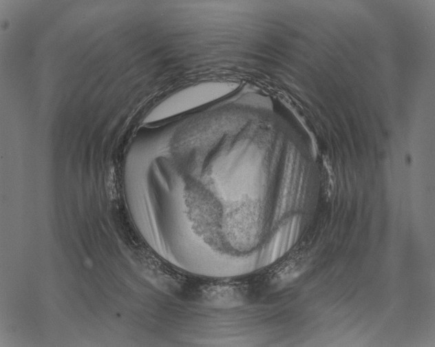 X0000068850224200605261713