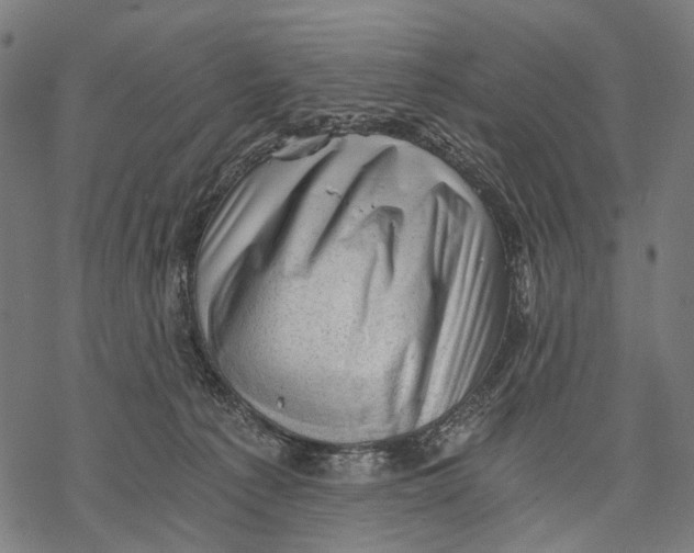 X0000068850225200605261713