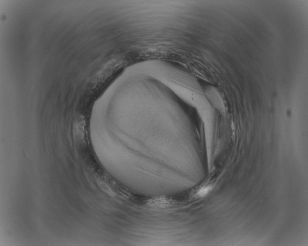 X0000068850231200605261713