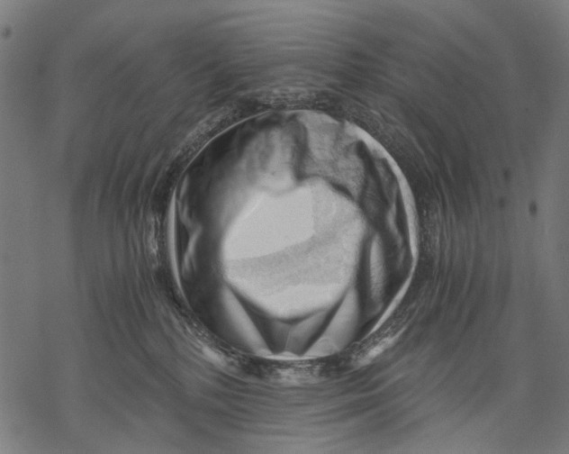 X0000068850232200605261713