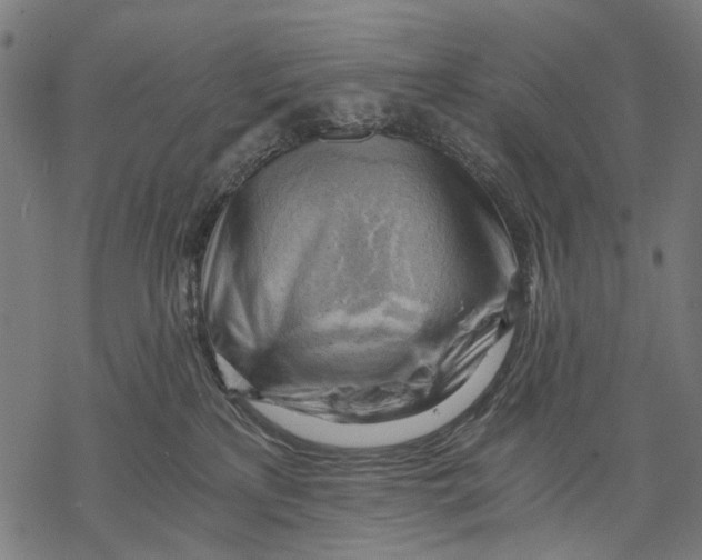 X0000068850233200605261713