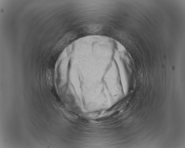 X0000068850234200605261713