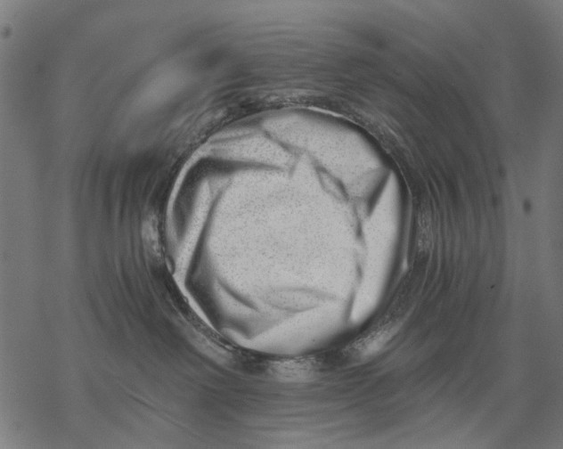 X0000068850238200605261713