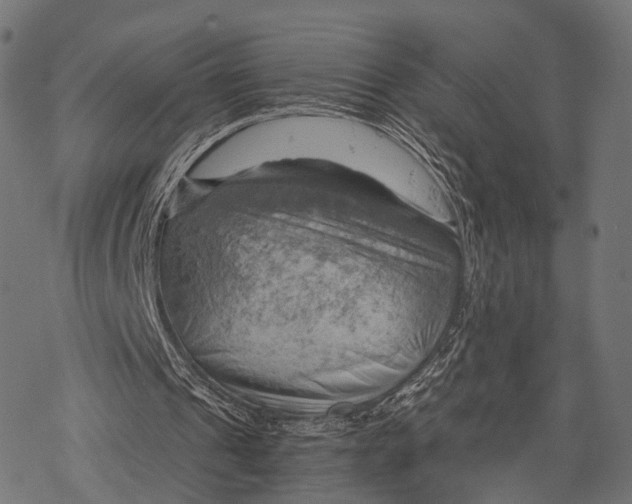 X0000068850241200605261712