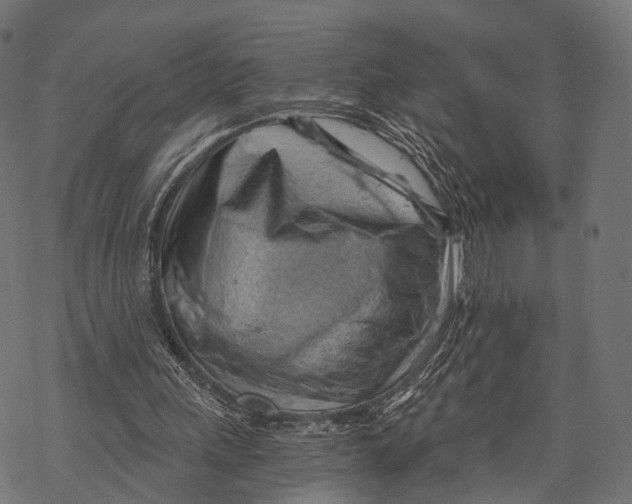 X0000068850243200605261712