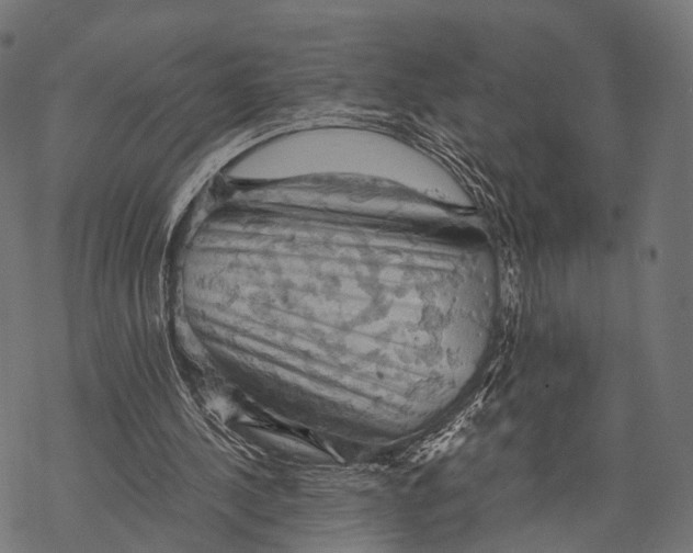 X0000068850244200605261712