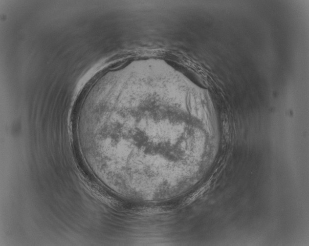 X0000068850246200605261712