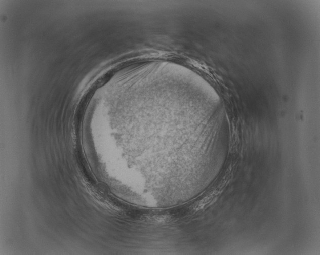 X0000068850247200605261712