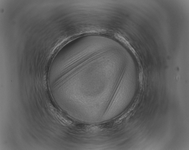 X0000068850249200605261712