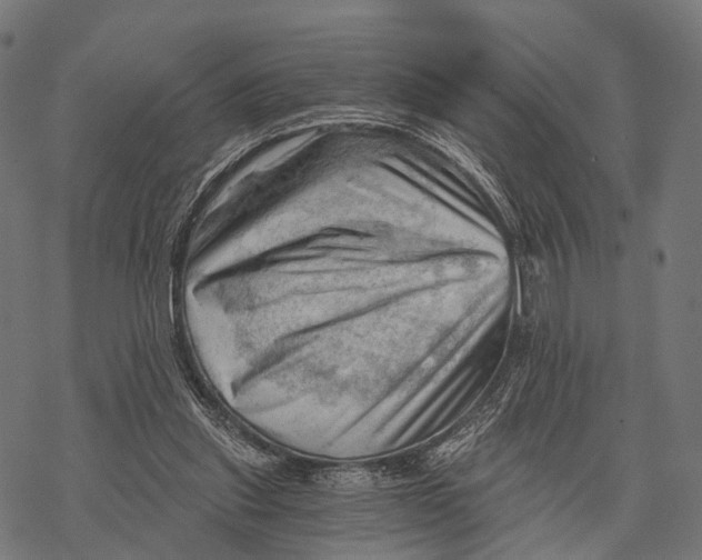 X0000068850253200605261713