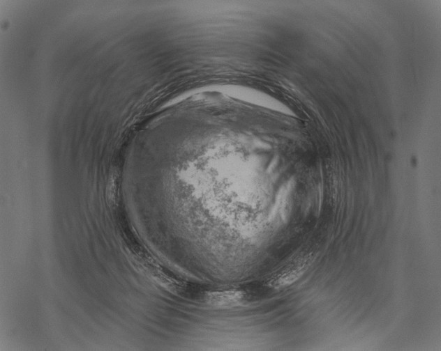 X0000068850266200605261713