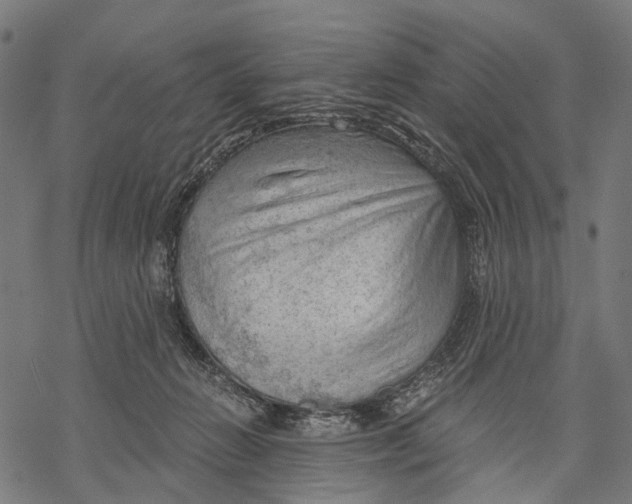 X0000068850270200605261713