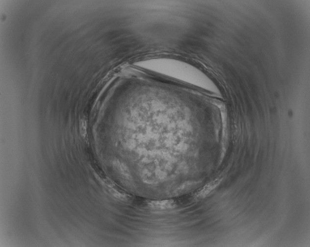 X0000068850281200605261713
