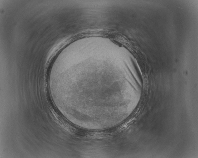 X0000068850293200605261712