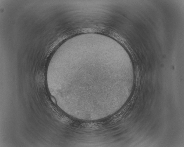X0000068850297200605261712