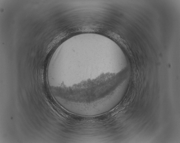 X0000068850299200605261712