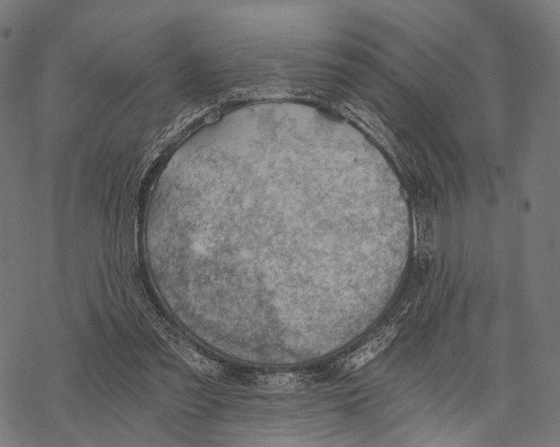 X0000068850301200605261712
