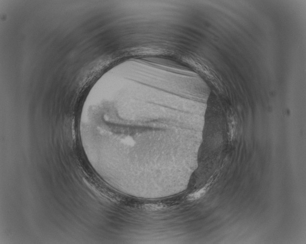 X0000068850302200605261712