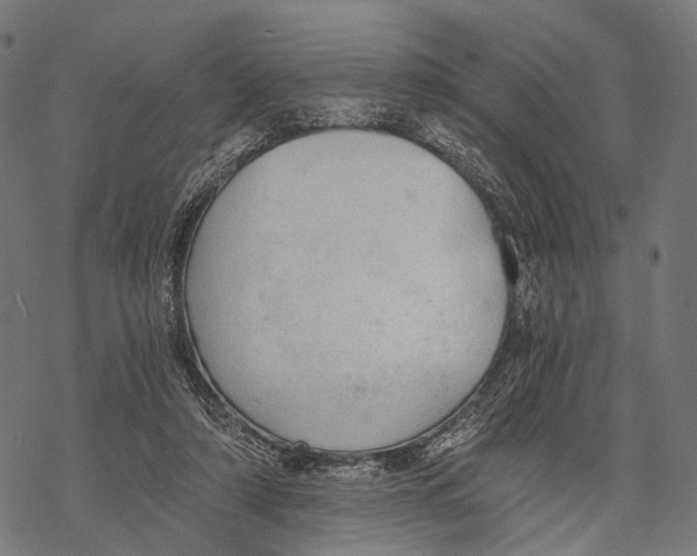 X0000068850306200605261712