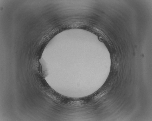 X0000068850307200605261712