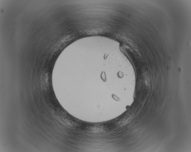 X0000068850308200605261712