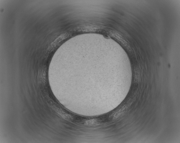 X0000068850309200605261712