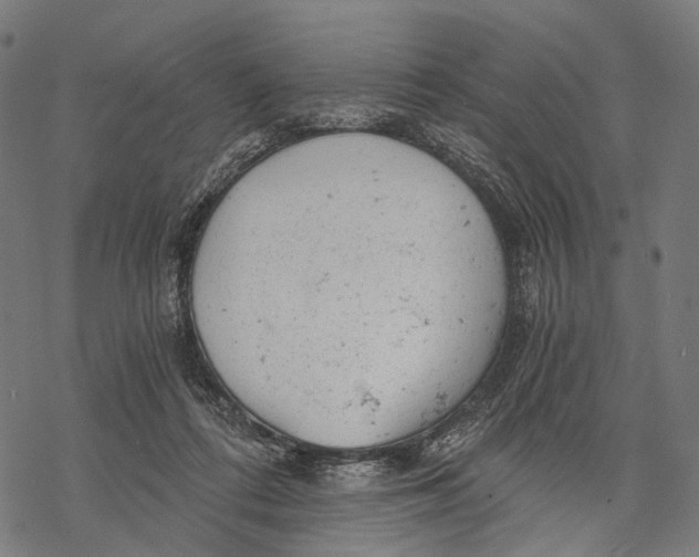 X0000068850312200605261712