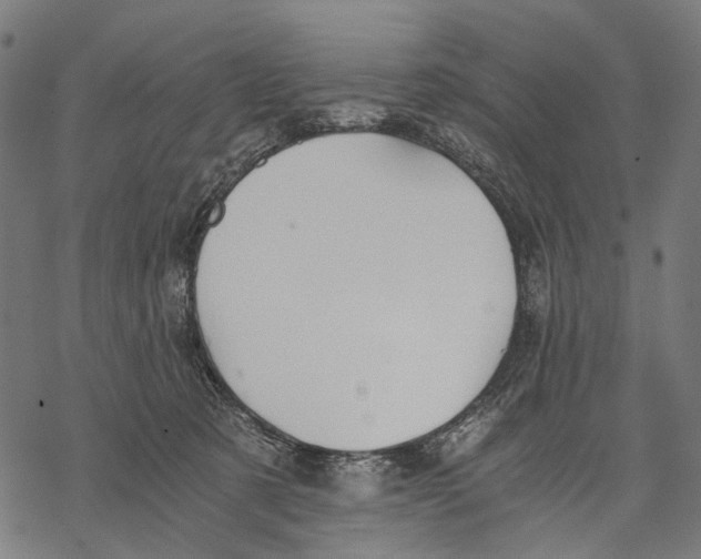 X0000068850321200605261712