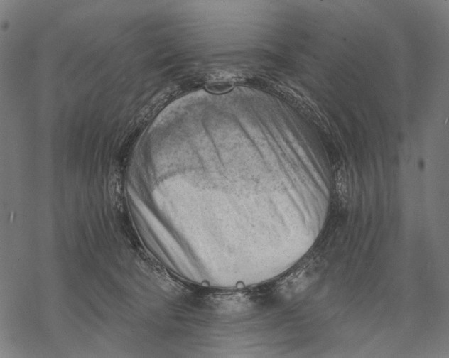 X0000068850322200605261712