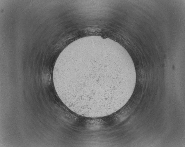X0000068850324200605261712
