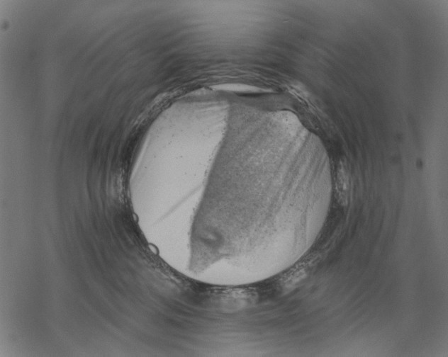 X0000068850330200605261712