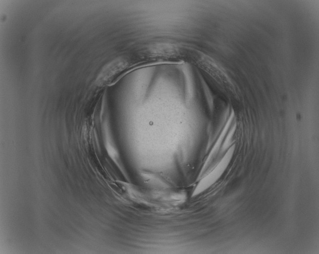 X0000068850333200605261712
