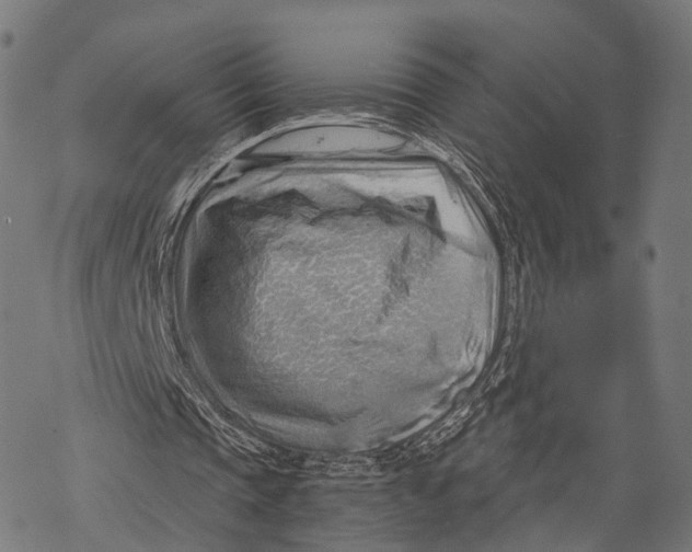 X0000068850337200605261711