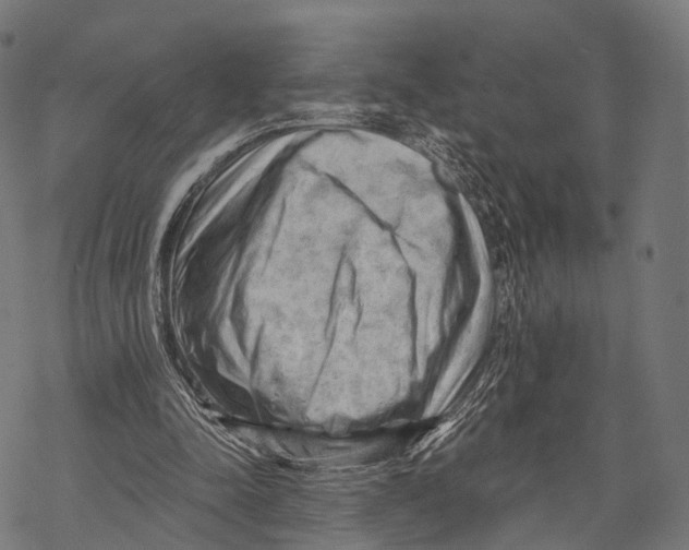 X0000068850342200605261711