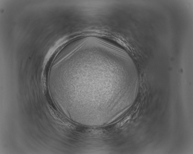 X0000068850343200605261711