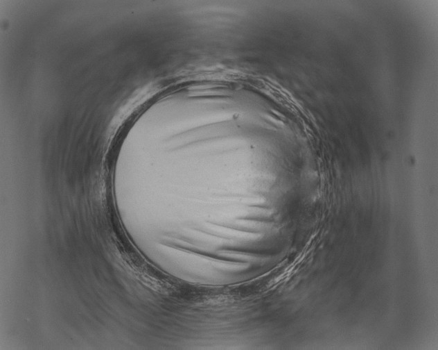 X0000068850344200605261711