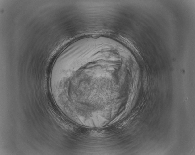 X0000068850346200605261711