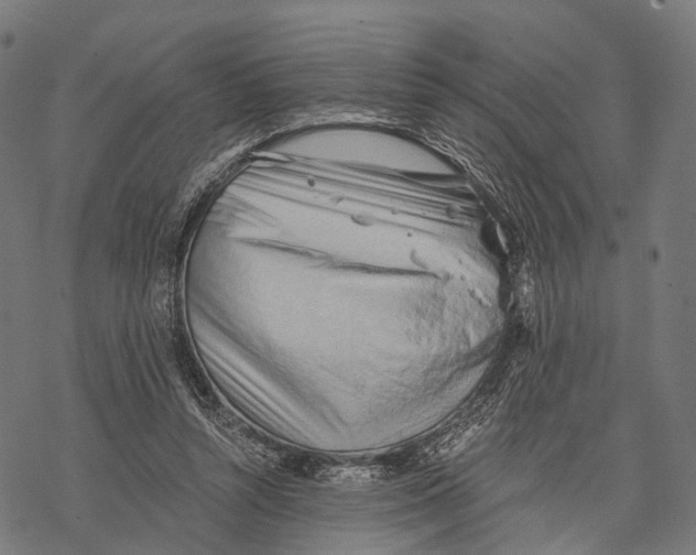 X0000068850352200605261711