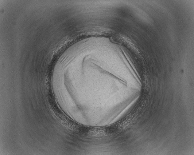 X0000068850354200605261711
