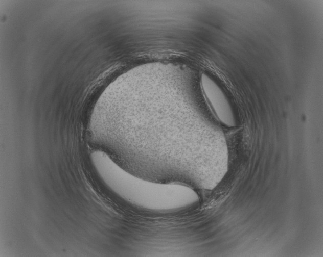 X0000068850356200605261711