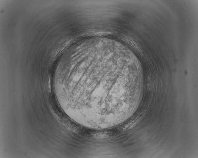 X0000068850358200605261711