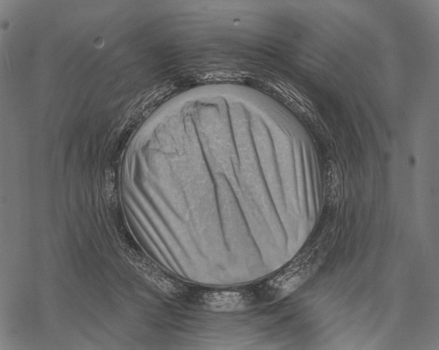 X0000068850361200605261711