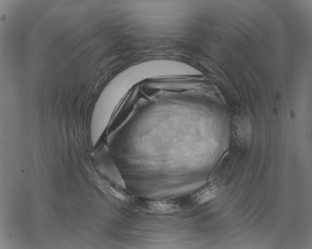 X0000068850380200605261711